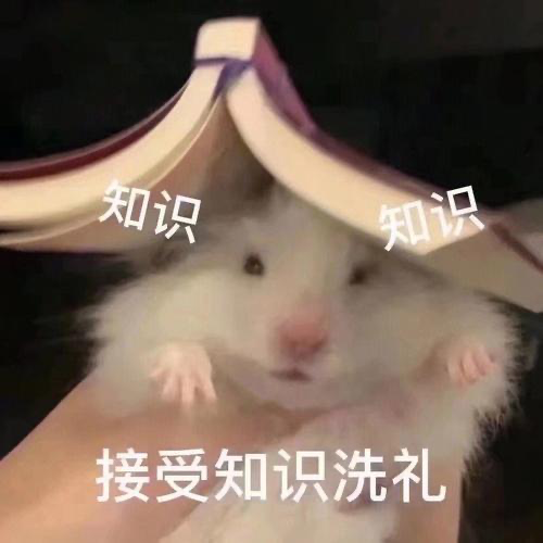 有什么技能值得花时间学习？