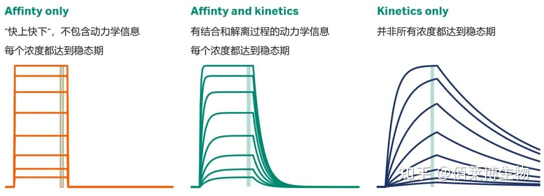 表面等离子共振(SPR)实验技术 - 知乎