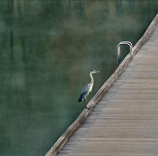 漫履行jurekravanja镜头里的正方世界