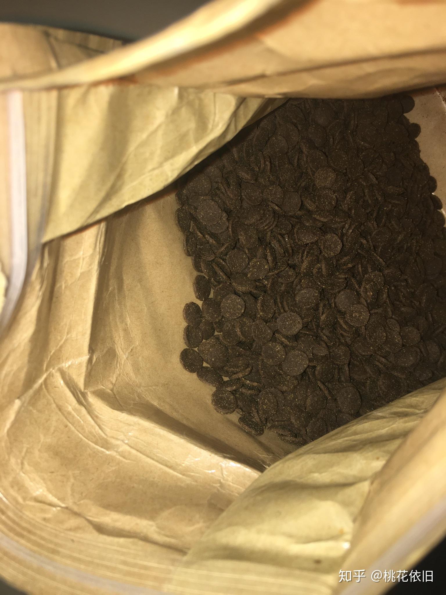 猫藓自愈要好几个月吧,大家都是怎么给猫增强