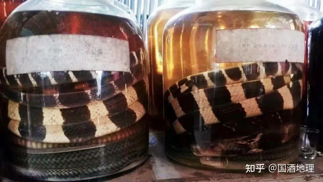 ○注目! 三蛇酒 P.B.J.B YANG LING 中国酒 箱付 700ml 38% CC