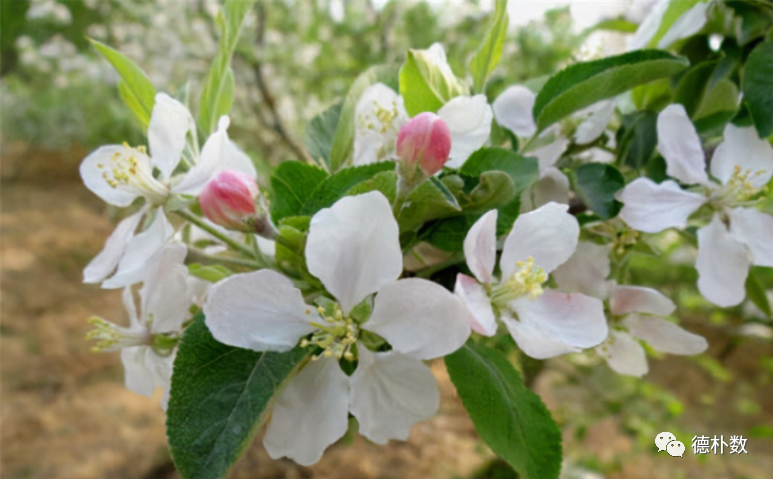 你们对俄乌的局势有什么看法