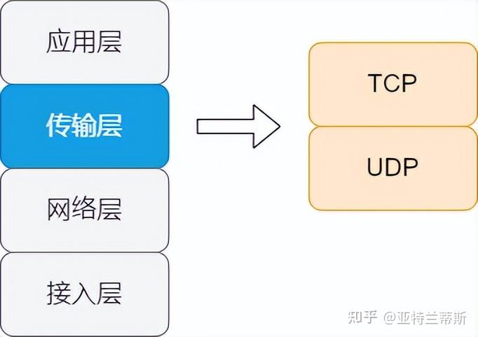 初識傳輸層