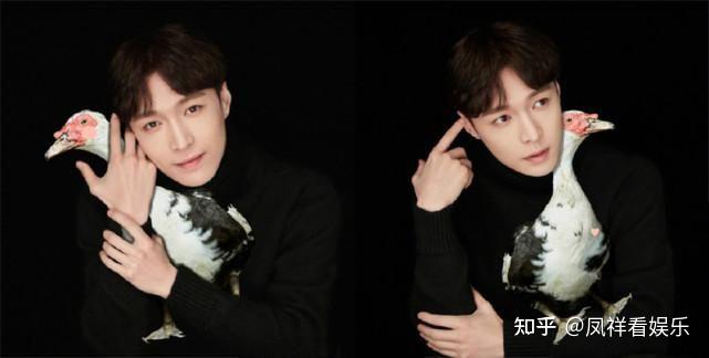 张艺兴工作室回应恋情传闻澄清真相引发粉丝期待