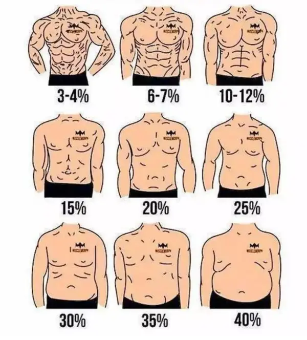 想要清晰漂亮的腹肌 除了虐腹还得知道这些干货 知乎