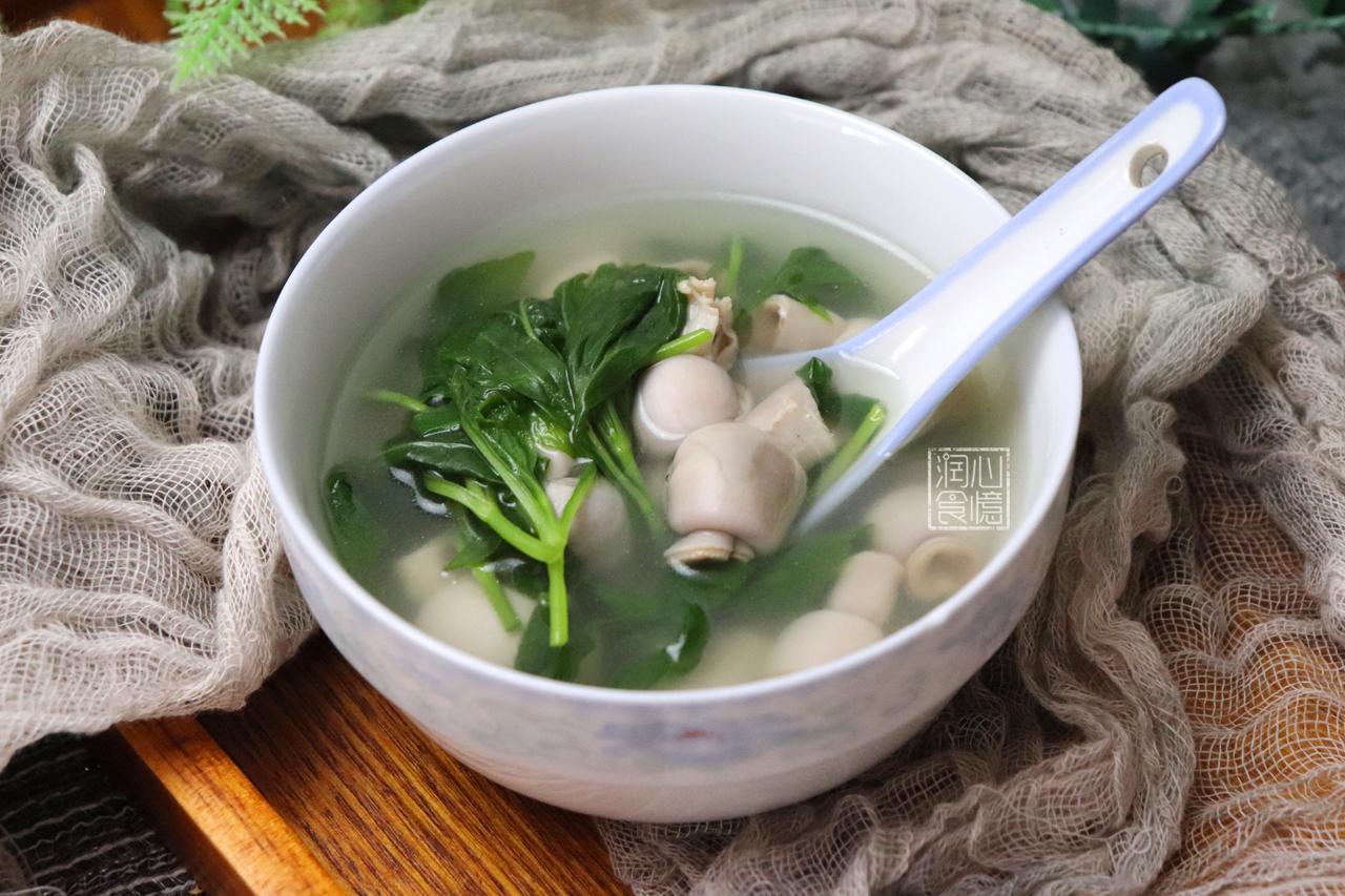 苦斋菜是一种什么野菜 苦菜小肠汤怎么做好吃 知乎 苦斋菜是一种什么野菜 苦菜小肠汤怎么做好吃 知乎