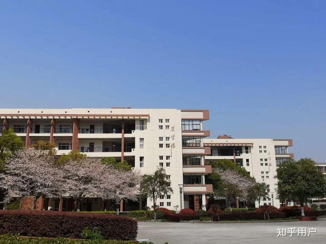在德清一中读书学习是怎么样的体验? - 知乎