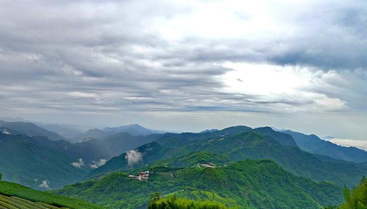 从海拔认识台湾茶 什么是台湾高山茶 高冷茶 知乎