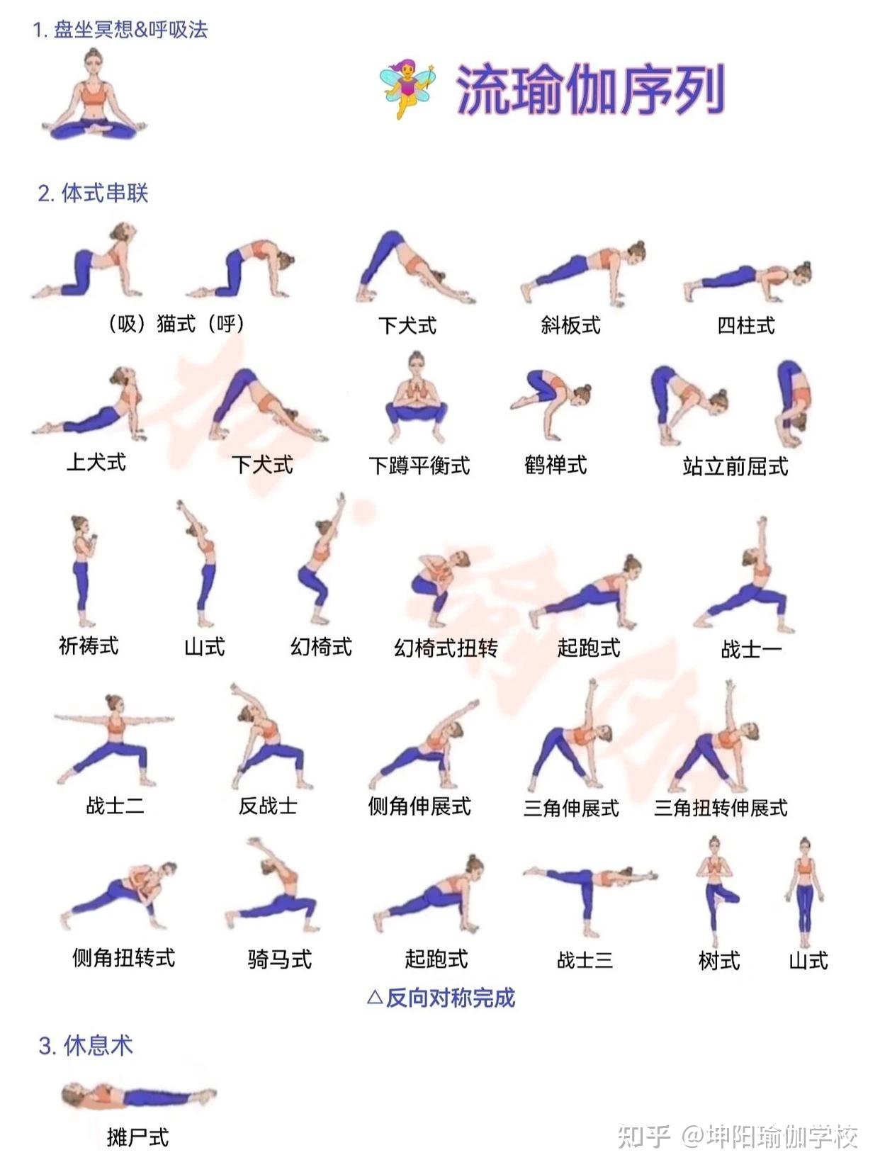 2,串联:没有了vinyasa的串联,流瑜伽就不是标准的流瑜伽了.