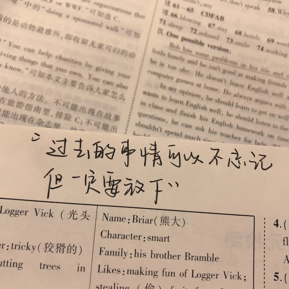 有哪些温柔到极致的宝藏文案