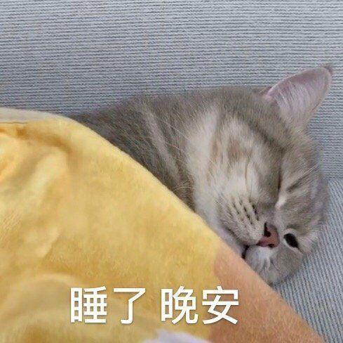 有没有什么早安晚安的表情包? - 知乎