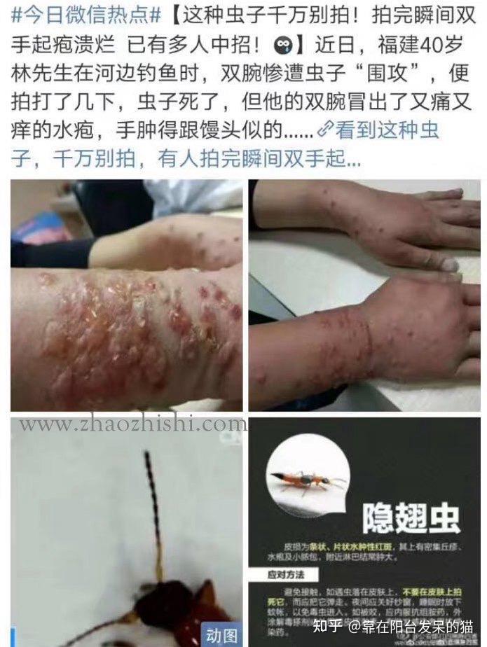 有哪些懂行的人才知道多恐怖的玩意