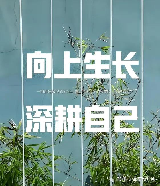 深耕自己:提升自我核心竞争力 - 知乎