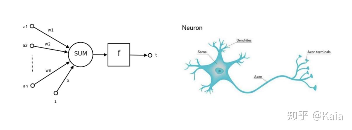 神經網絡--感知機 - 知乎