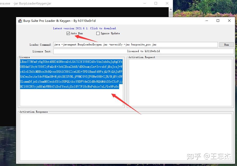 burp suite professional 2021 burp suite professional 2021