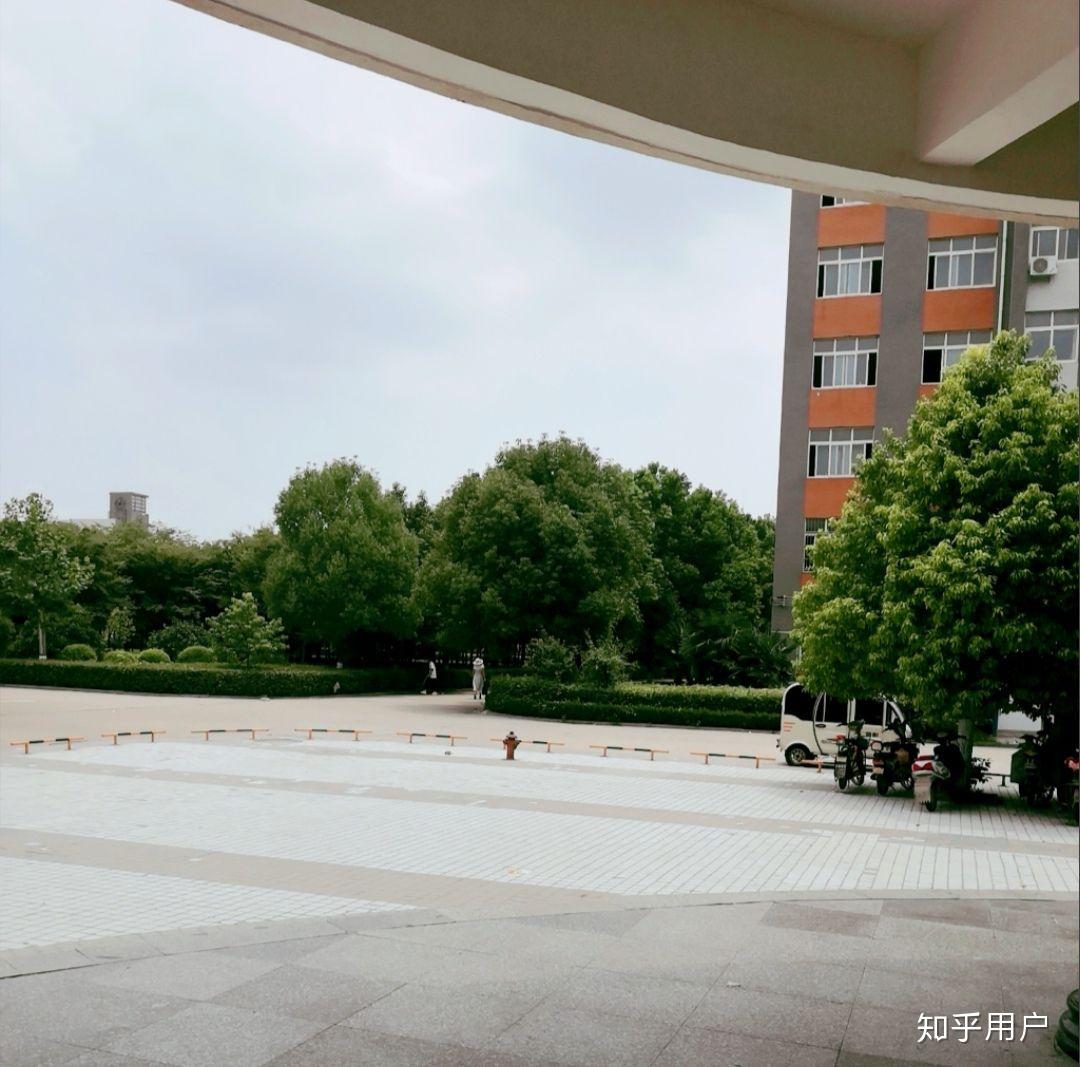 在项城一高就读是怎样的一种体验?