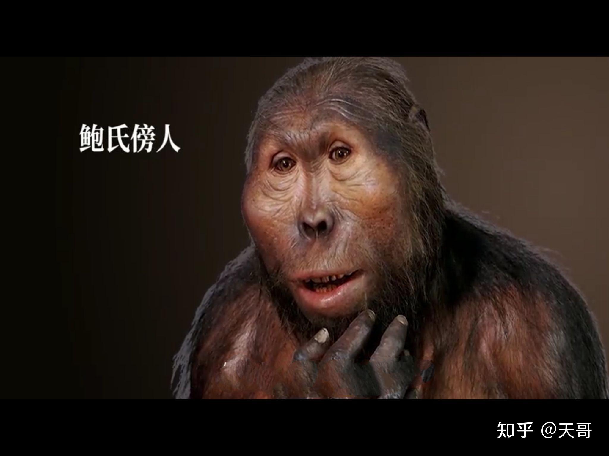 人类起源最权威文章! - 知乎
