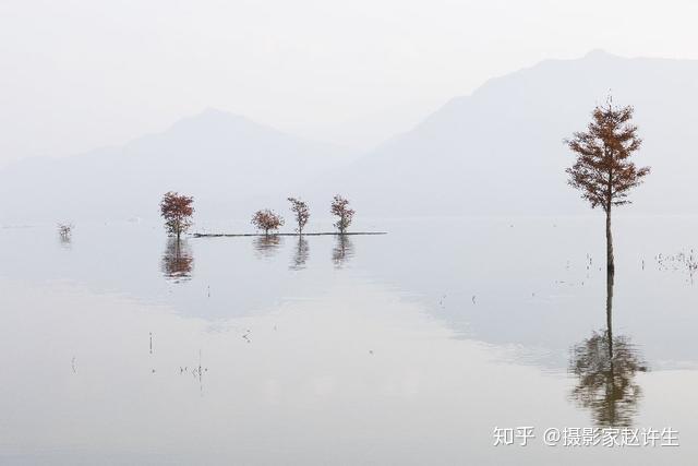 拍照怎么拍出高的感觉 v2-52a734a1869d69f10e697053c7317e5c_r.jpg