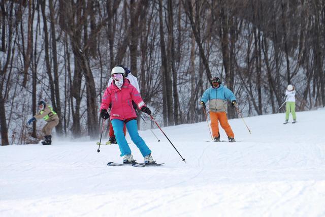 哈爾濱旅遊有哪些攻略?-哈尔滨旅游攻略路线最佳路线