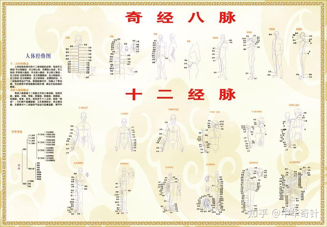 中医的经络学说 - 知乎