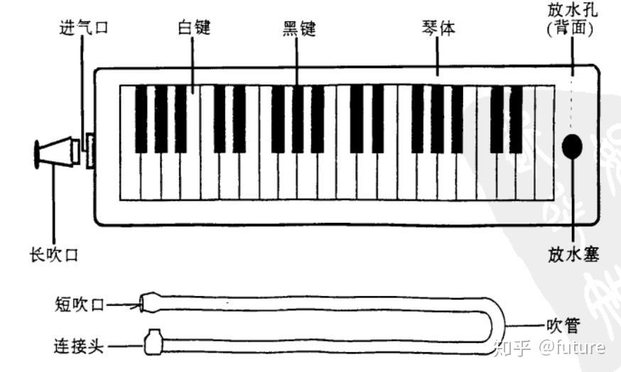 口风琴基础教程 - 知乎