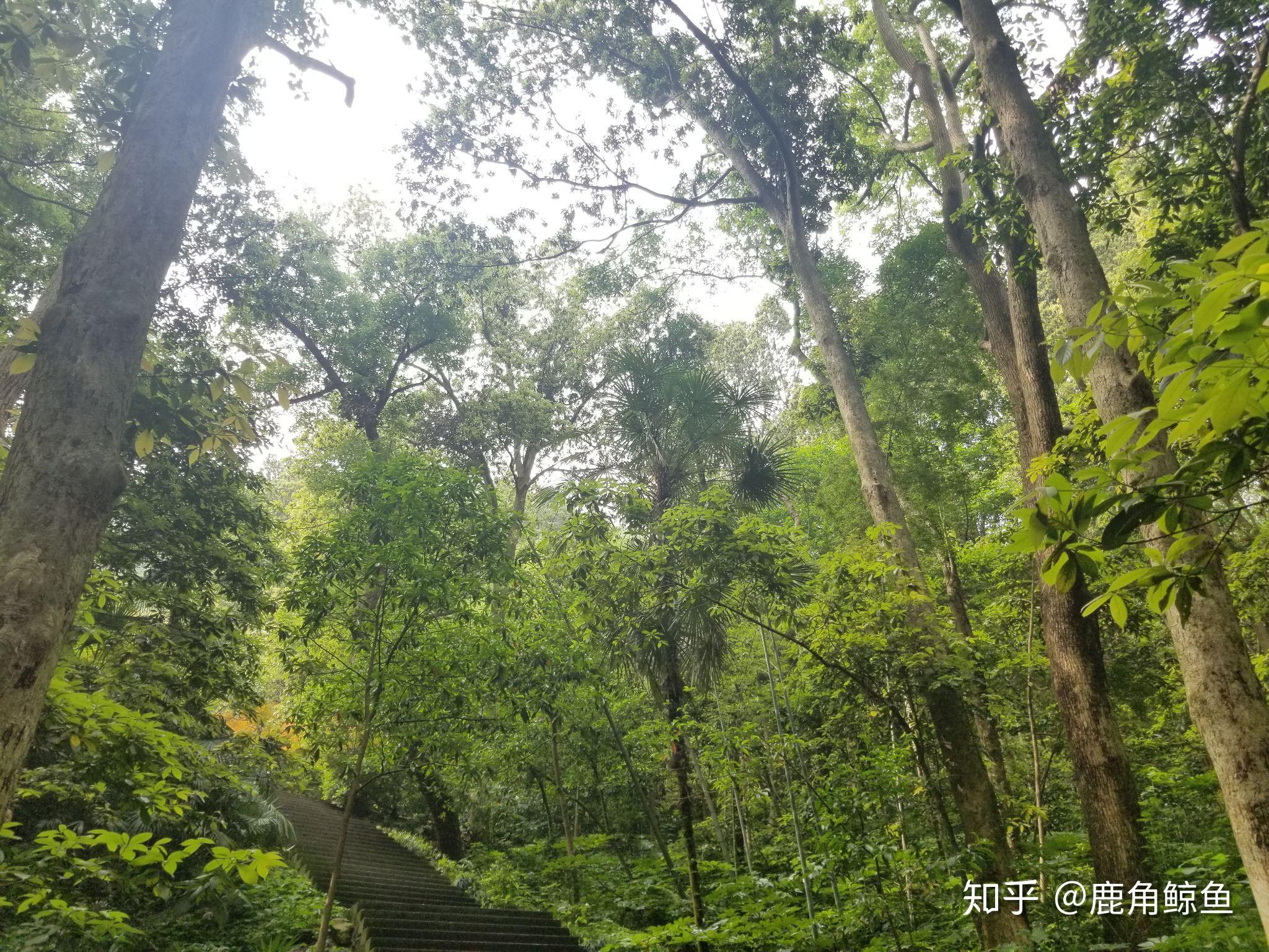 杭州有什么好玩的地方?