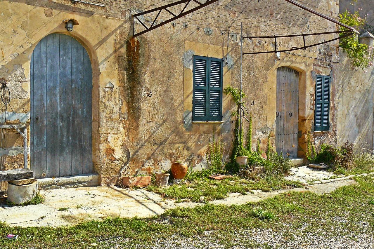 农村大门种什么树最好