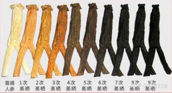 黑人参——出于人参，高于人参 - 知乎