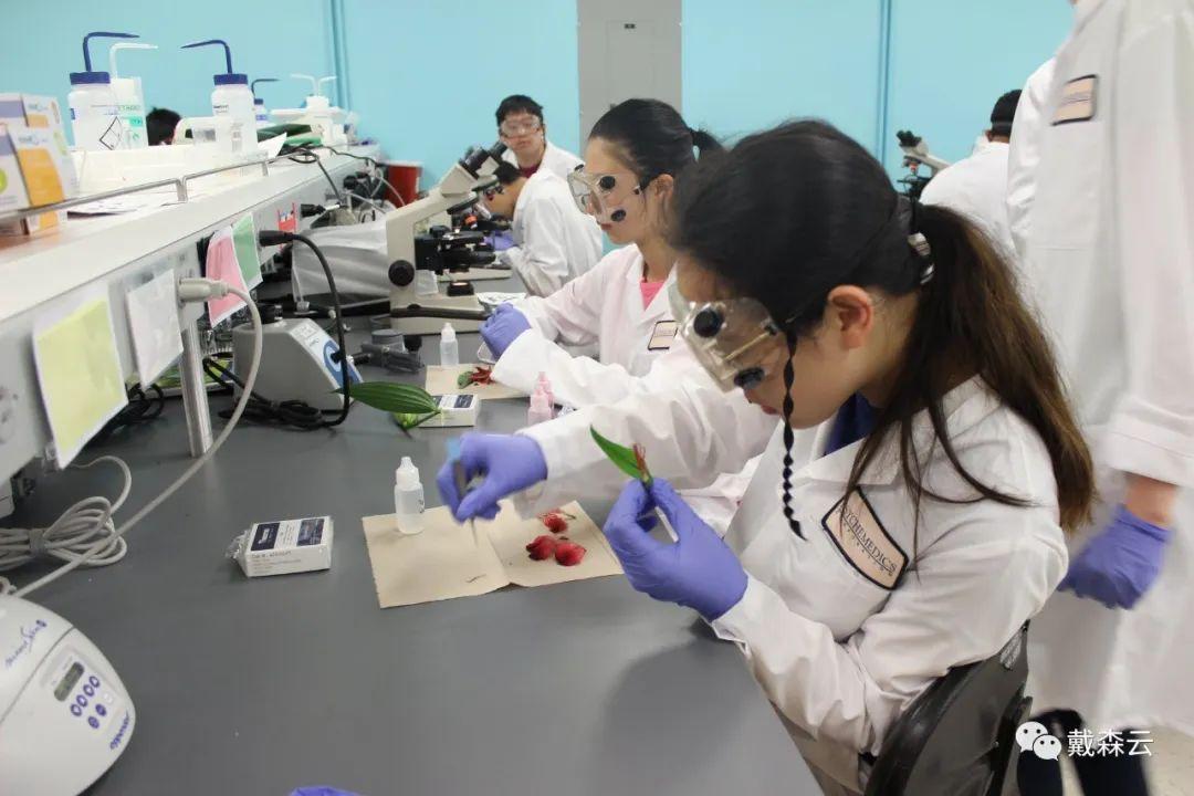竞赛 | 解密USABO备赛!牛津导师详讲备赛策略,助力探索生物学成功之道! - 知乎