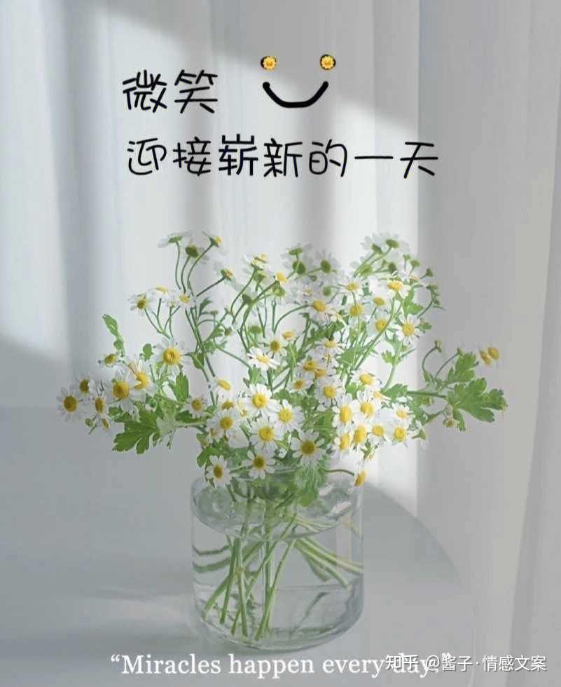 你们有哪些极简的人生建议