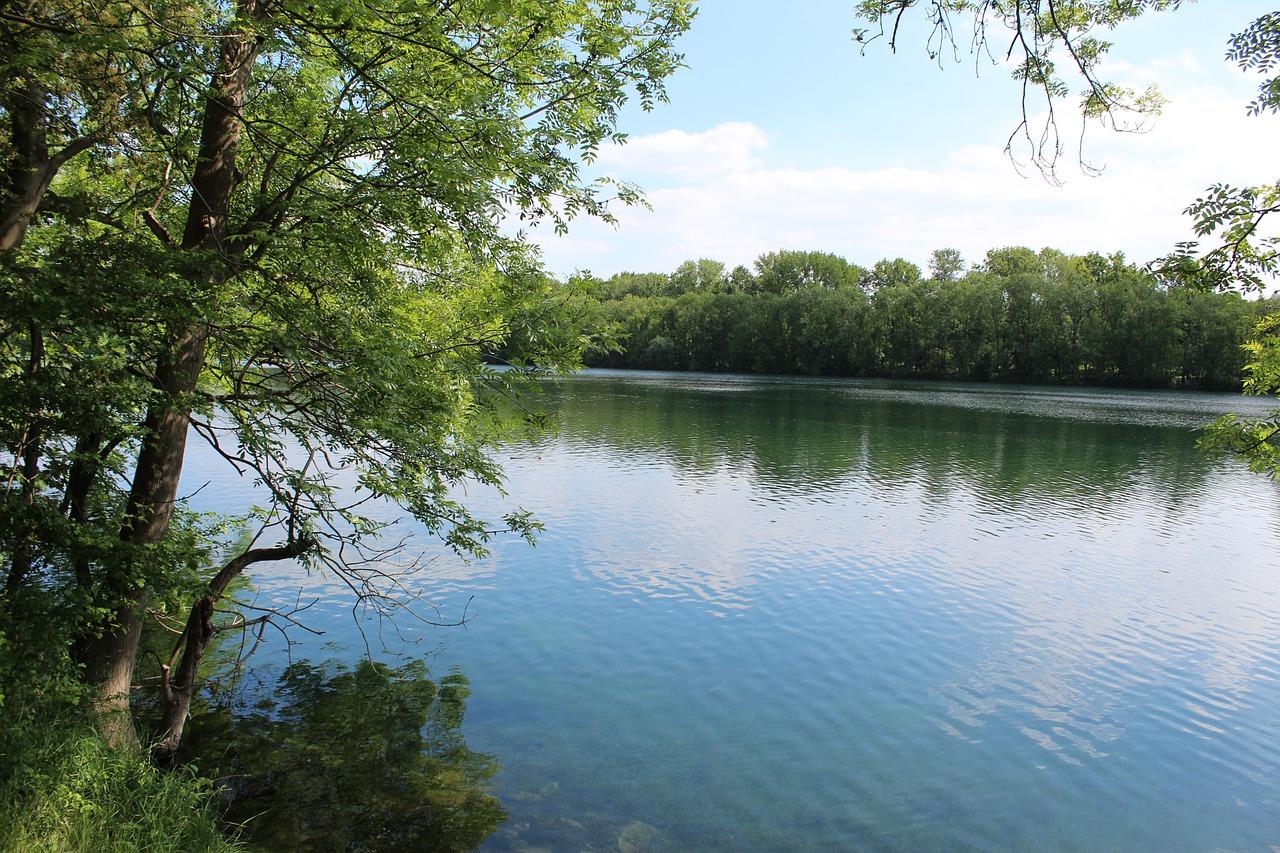 4. 海洋浮游植物