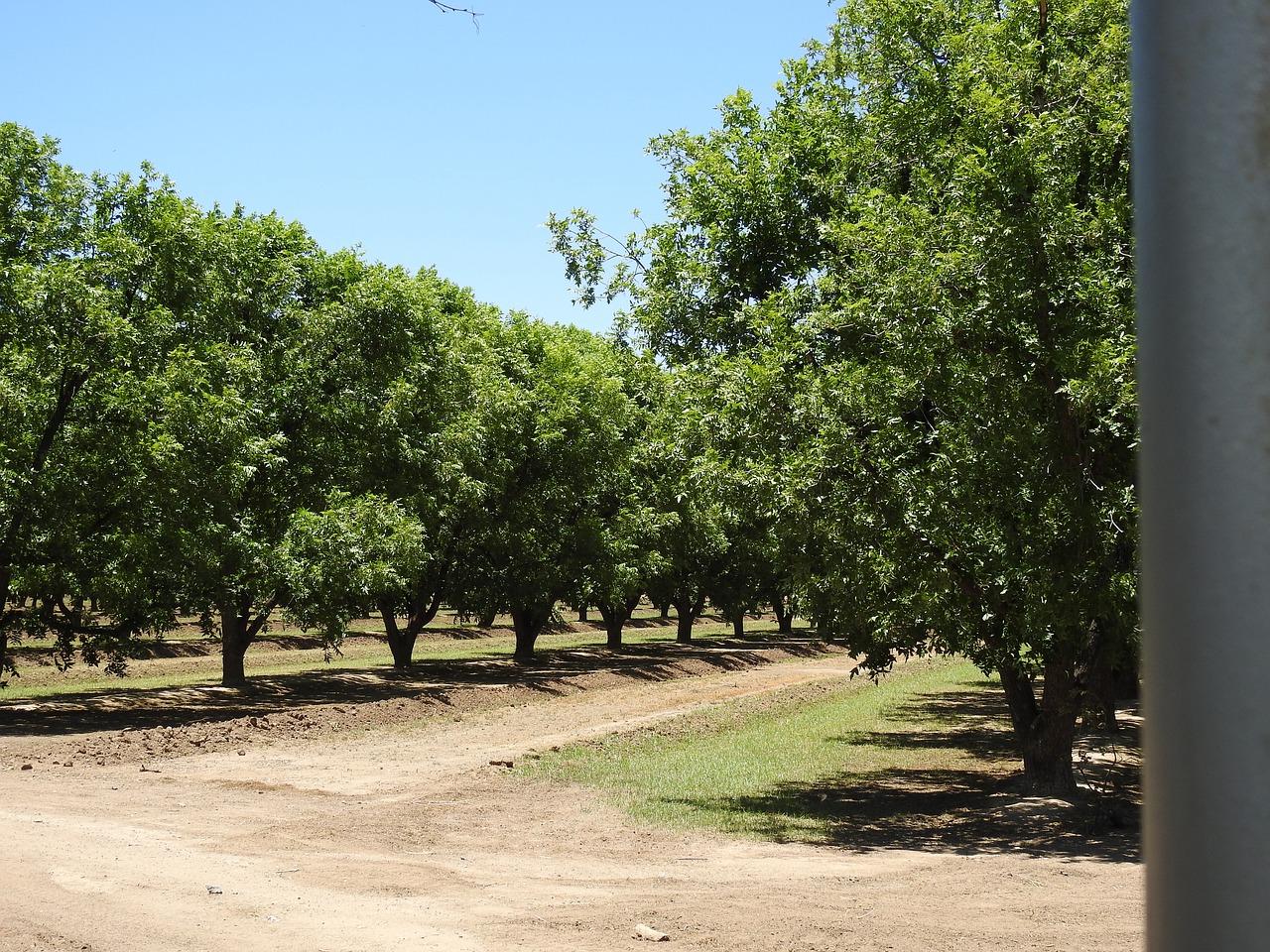 4. 电动割草机推荐