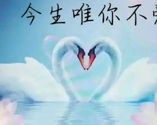 心里深爱着不管岁月如何的蹉跎想念与眷恋一直在