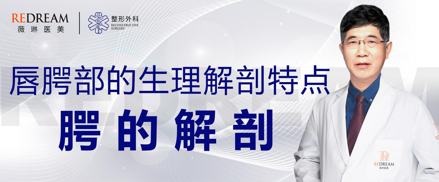 唇腭部的生理解剖特点之腭的解剖二