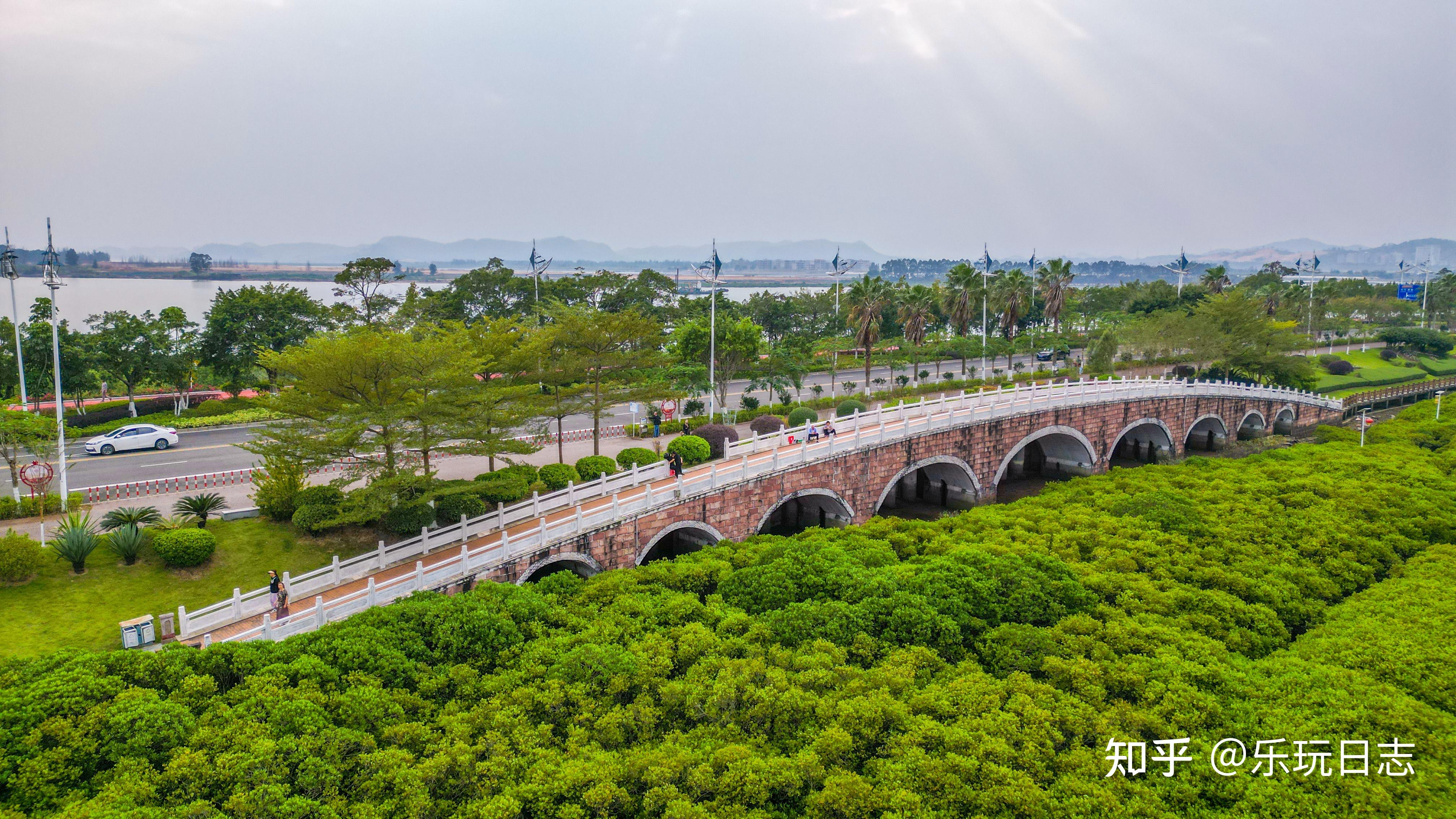 防城港旅游,红树林生态湿地景观带非常不错,看候鸟和休闲的好去处