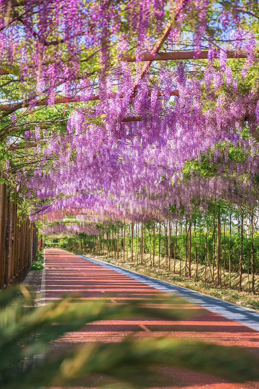 新都 风景图片