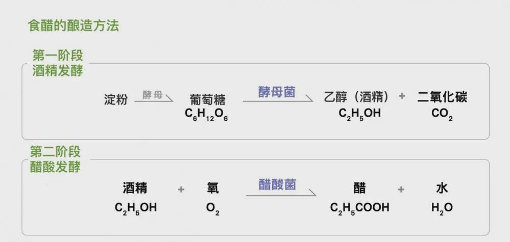 剩下的就是醋了,所以生产白醋一共要经历 2 道发酵:酒精发酵和醋酸