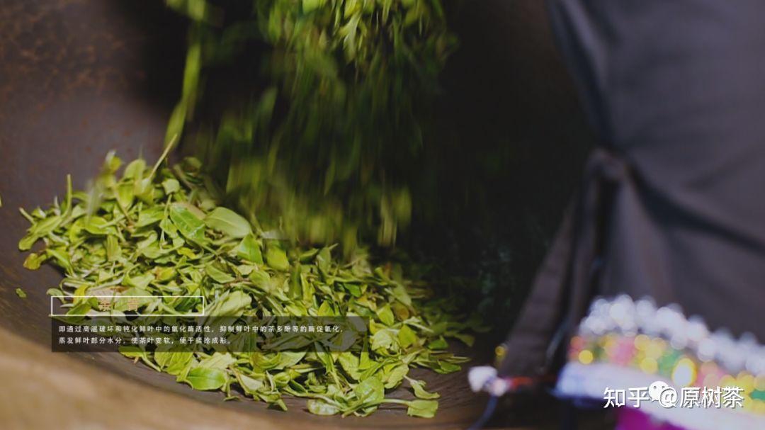原树茶 | 献给所有不为人知但依旧用心的做茶人 - 知乎