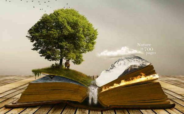 初一数学论文 知乎