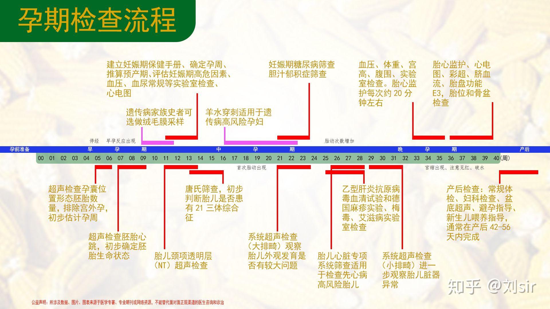 孕期检查流程图示