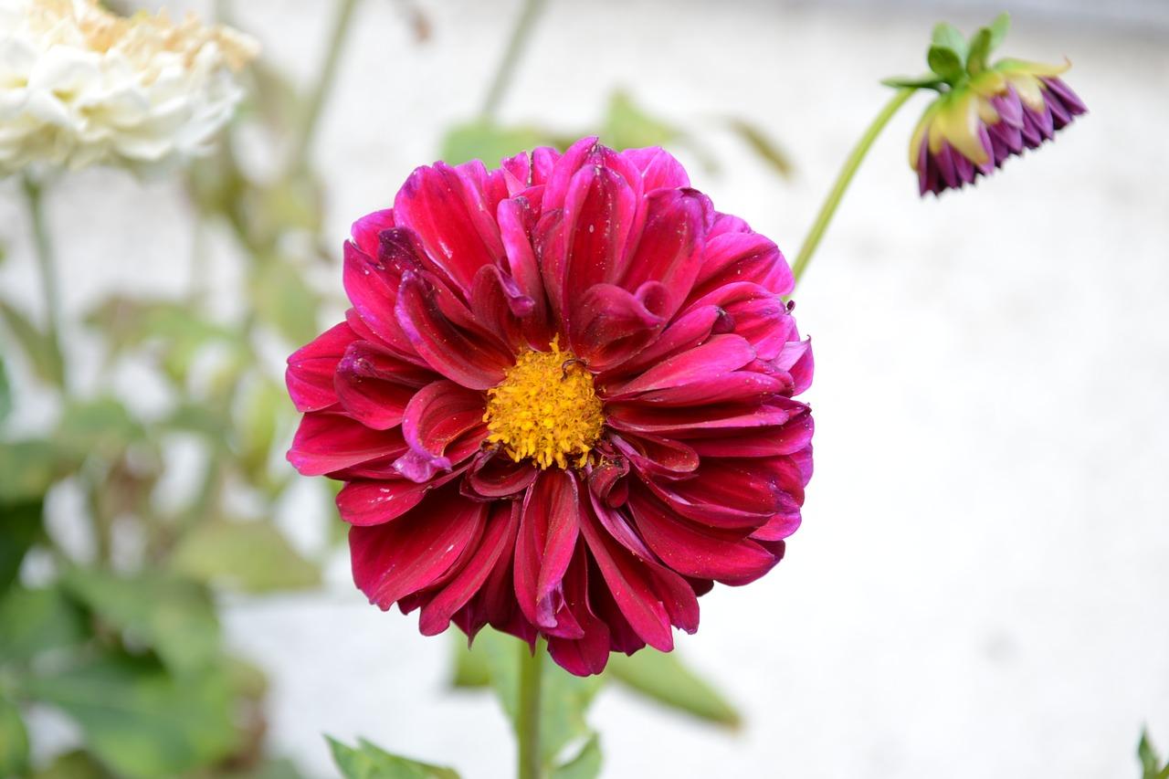 贷款年限可否灵活?