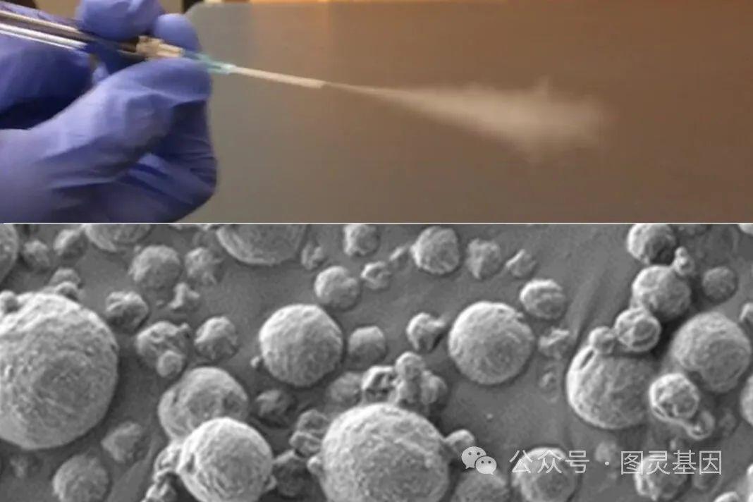 Sci Adv | MIT开发可吸入纳米传感器检测肺癌 - 知乎