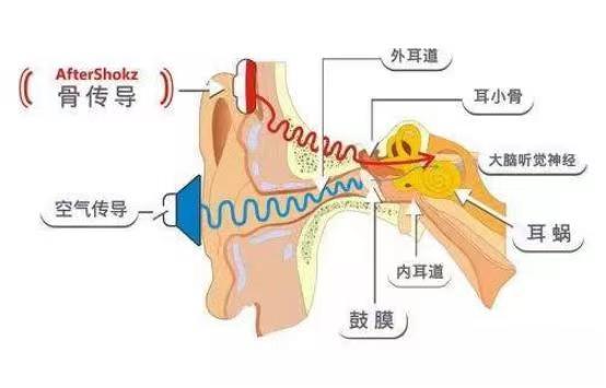 2022年双十一骨传导耳机选购攻略/骨传导耳机是智商税吗?earsopen骨聆SS900真无线骨传导蓝牙耳机真实体