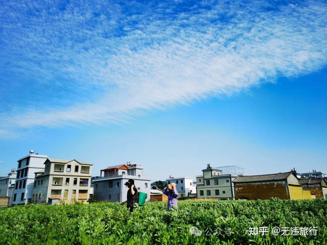 大理豆米粑粑一年的念想老家的味道美食纪实