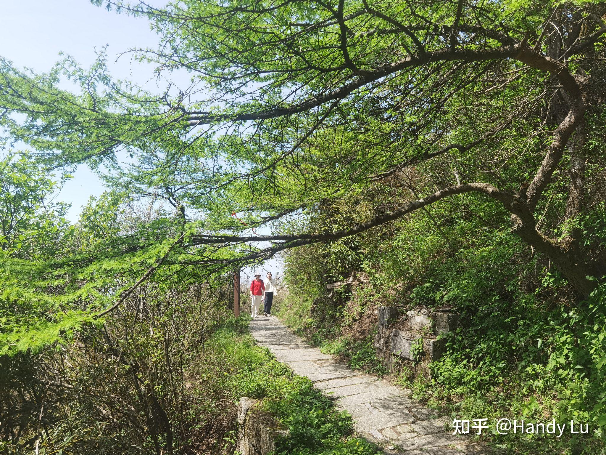 衡阳旅游年票：100 元畅玩衡阳各景点，含南岳四大核心景区