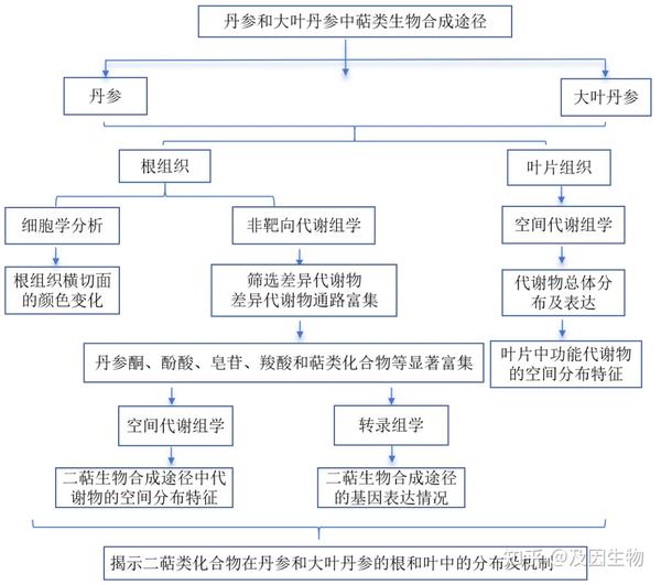 代谢组学专题丨一文带您了解最全代谢组学研究思路！ - 知乎