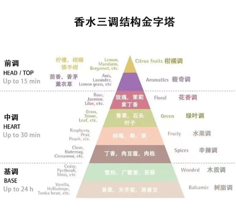 香调分类图图片