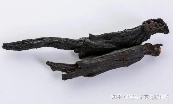关于黑参的价值,你知道多少? - 知乎