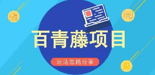 揭秘百青藤项目的最新玩法套路 知乎 揭秘百青藤项目的最新玩法套路 知乎