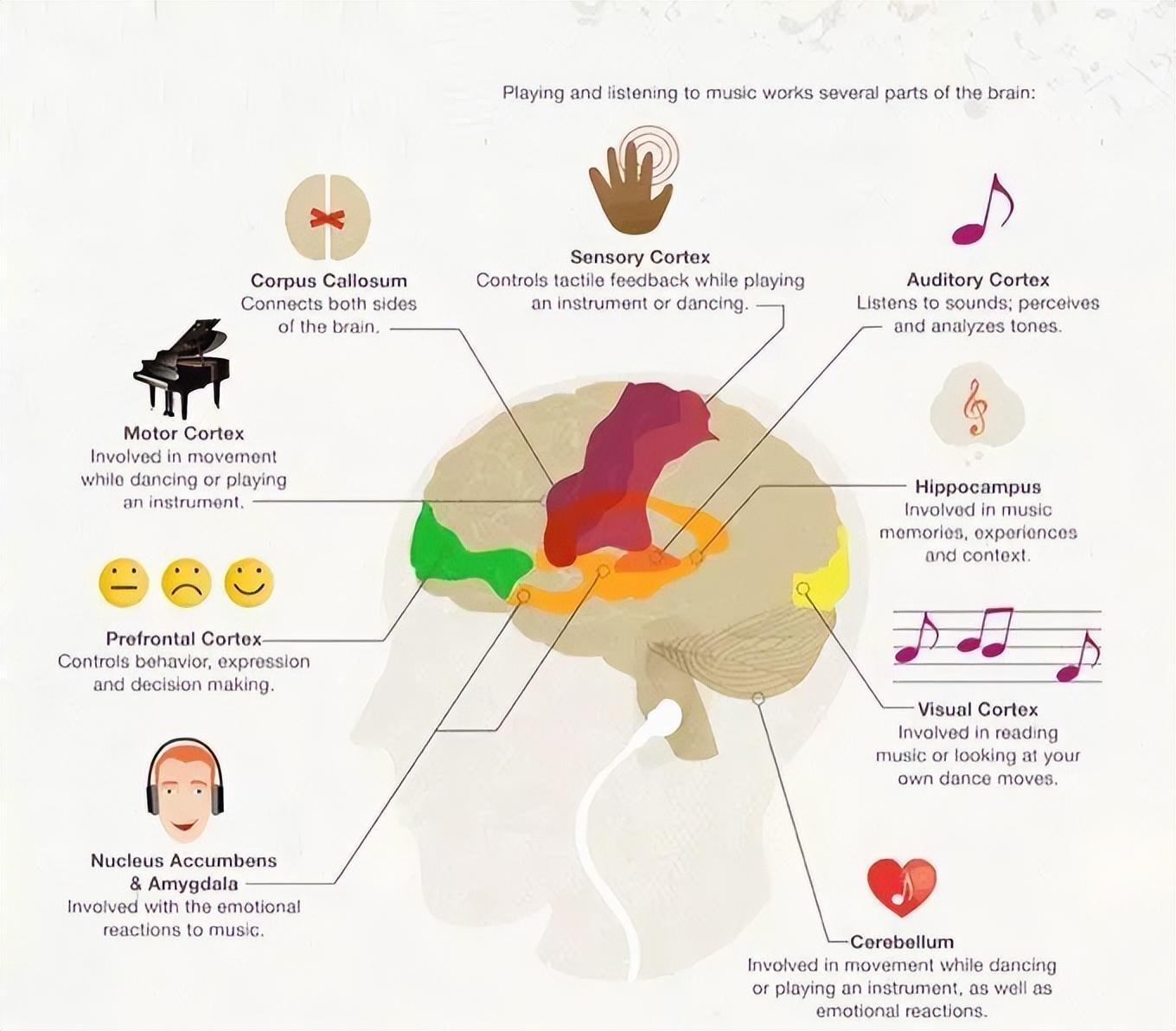 music-commentary-can-we-use-music-to-increase-our-studying-ability